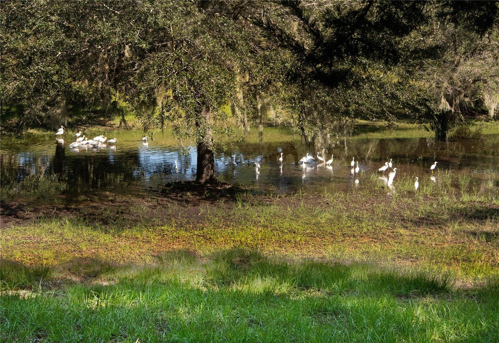 HALIFAX PLANTATION UNIT 02 SEC G - Residential