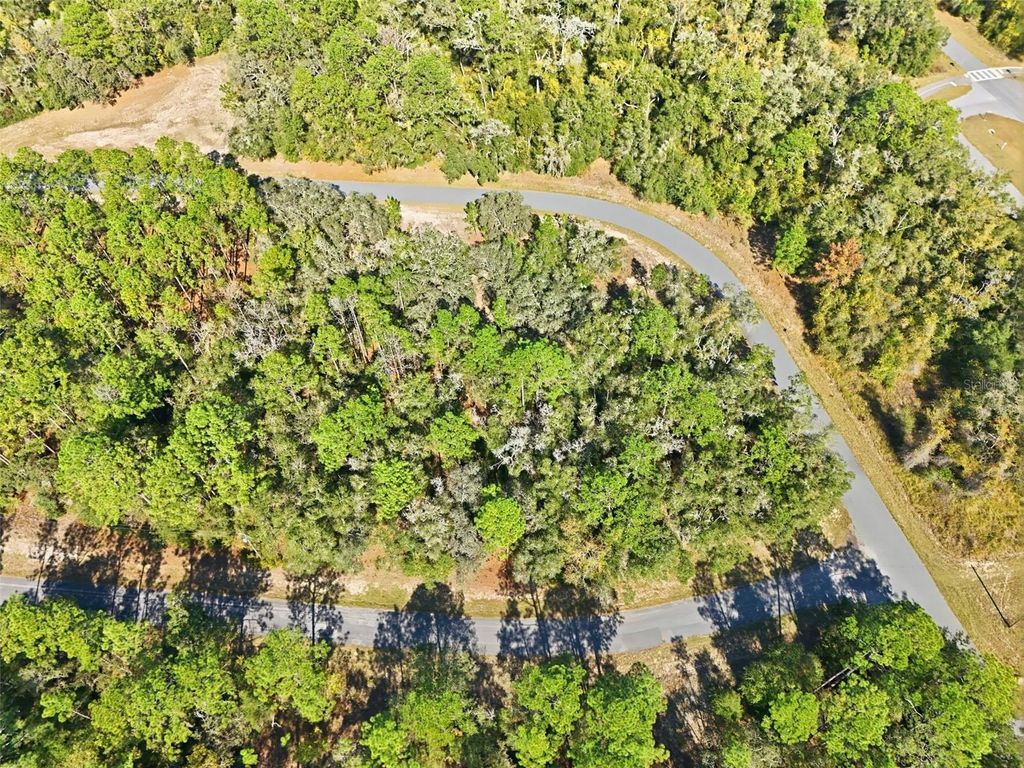 Photo of 2237 W Striblin Drive, Citrus Springs, FL 34434 (MLS # G5104707)