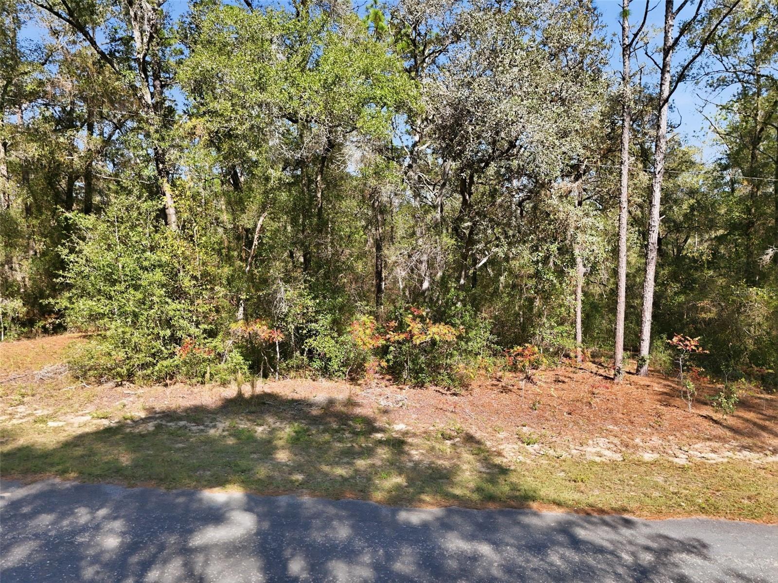 CITRUS SPGS UNIT 27 - Land