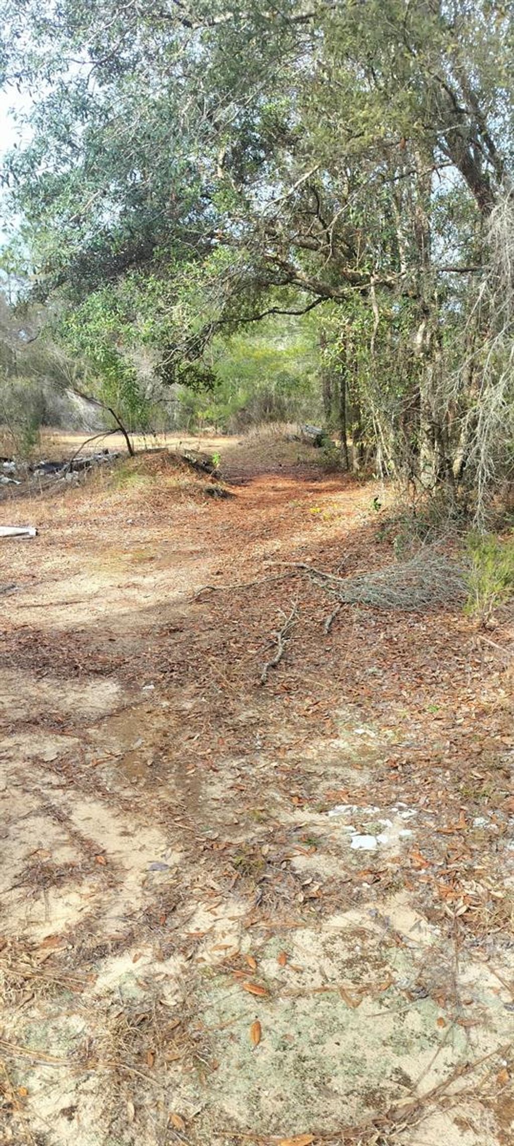 Photo of 326 Elm Trail, Interlachen, FL 32148 (MLS # TB8480353)