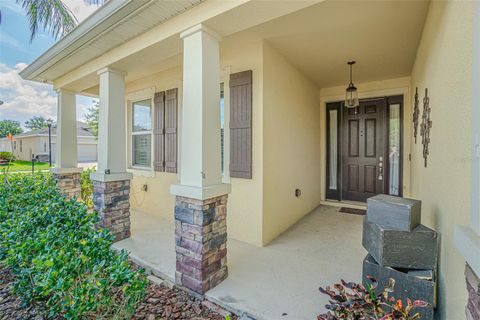 10627 SCENIC HOLLOW DRIVE RIVERVIEW FL 33578