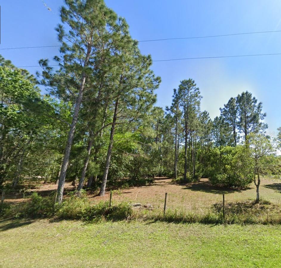 Pristine 1 Acre in the Heart of Booming Wesley Chapel, Come Build Your Dream Home! Tranquility and Privacy is Calling Your Name! NO HOA or CDD, So Bring your RV, Your Boat and ALL the Toys! Enjoy the Peace and Quiet of This Charming Area While Still Being Just Minutes from Premier Outlet Malls, the Wiregrass Mall, an Array of Restaurants and All the Amenities You May Need. Commute Seamlessly as this Property is Conveniently Located Close to Major Highways and the Airport!! Endless Adventure Awaits in Tampa Bay Nearby!! This is a Wooded, Undeveloped Lot so Bring Your Imagination and Build Your Dream Home! OUT of the FLOOD ZONE!! 26300 is Not a true street address just an approximation. Address will be assigned when permits are requested.