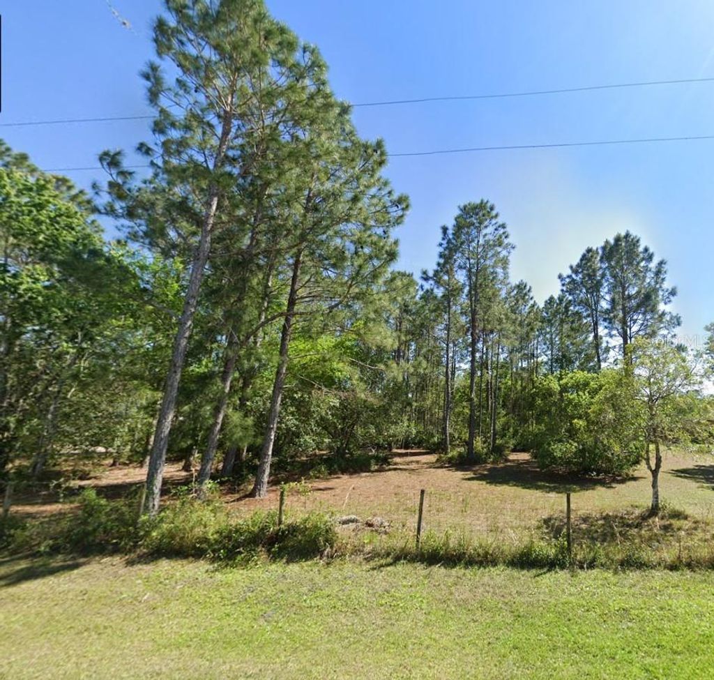 Photo of 26300 Pheasant Run, Wesley Chapel, FL 33544 (MLS # O6341052)