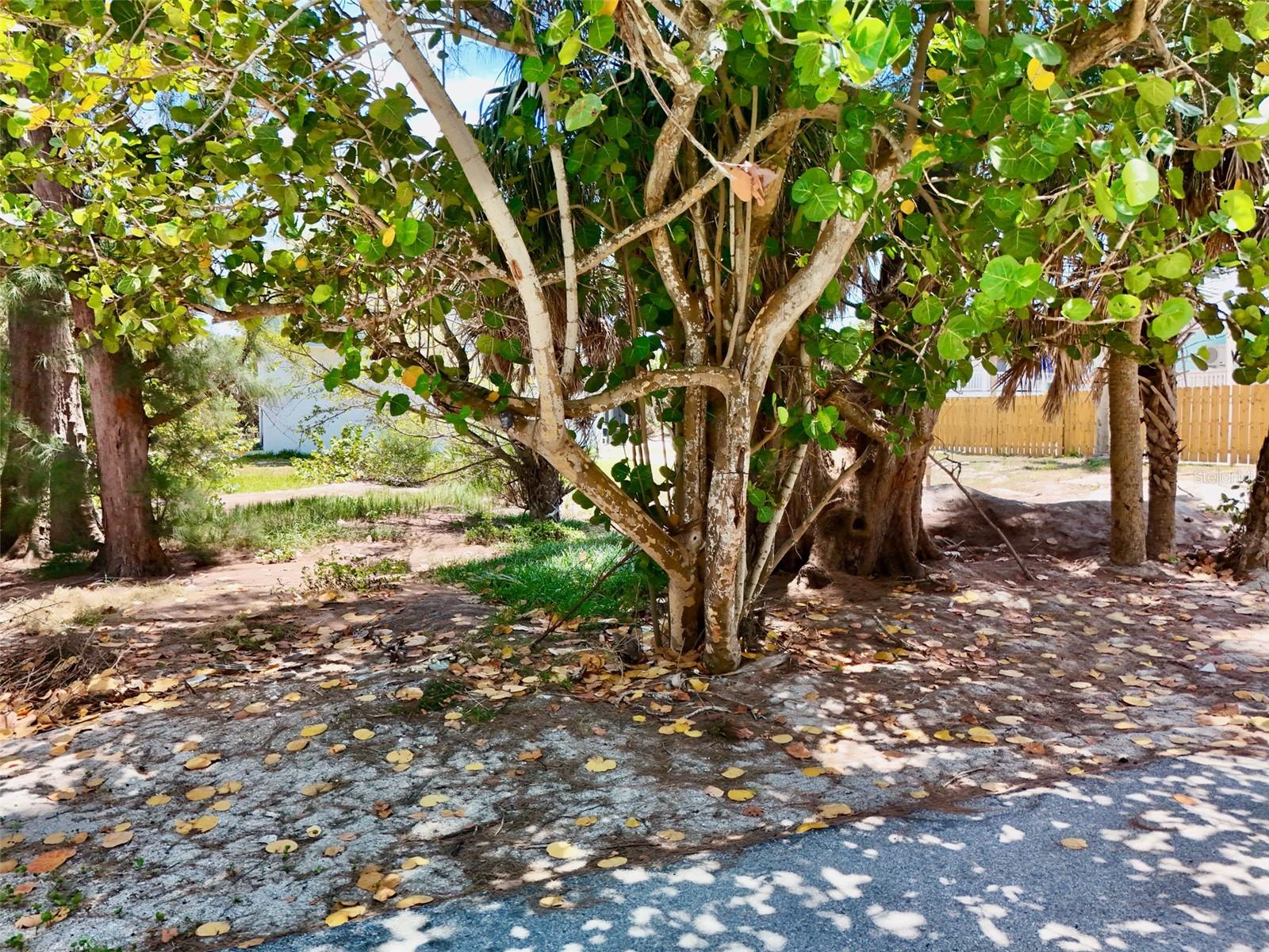 75 MEREDITH DRIVE