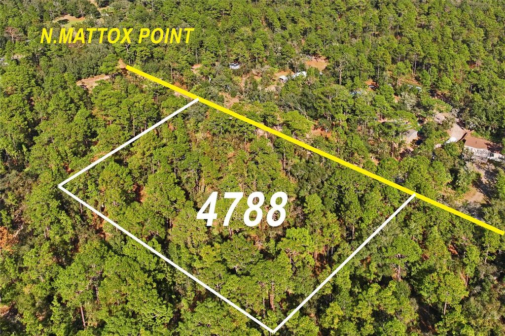Photo of 4788 N Mattox Pt, Crystal River, FL 34428 (MLS # W7869545)
