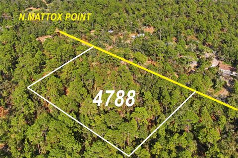 4788 N MATTOX PT CRYSTAL RIVER FL 34428