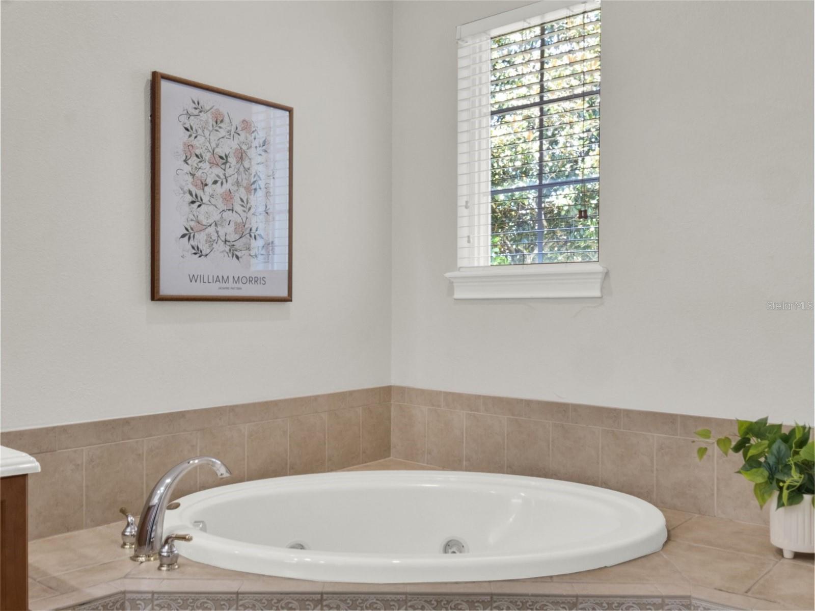 RESERVE AT LAKE BUTLER SOUND - Residential