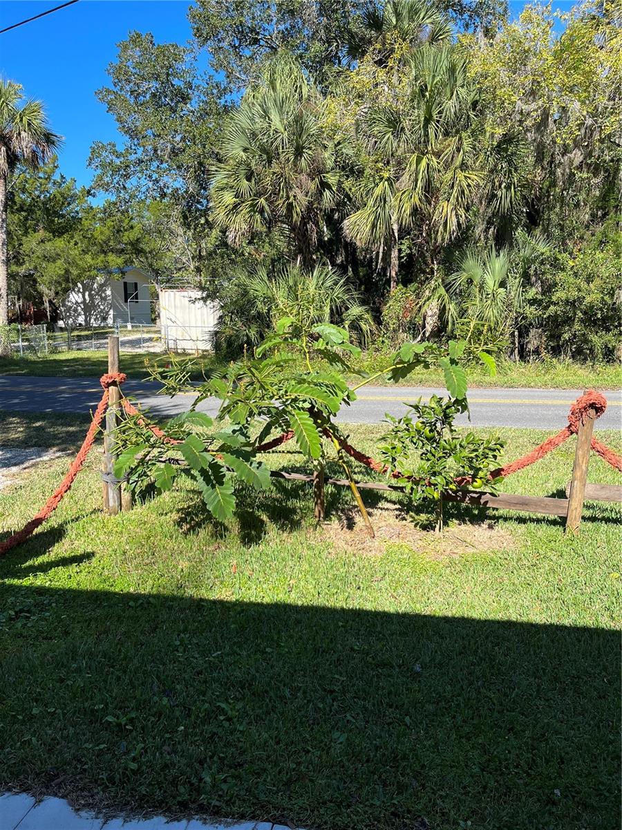 HOMOSASSA TOWN - Residential