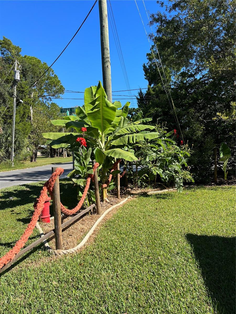 HOMOSASSA TOWN - Residential