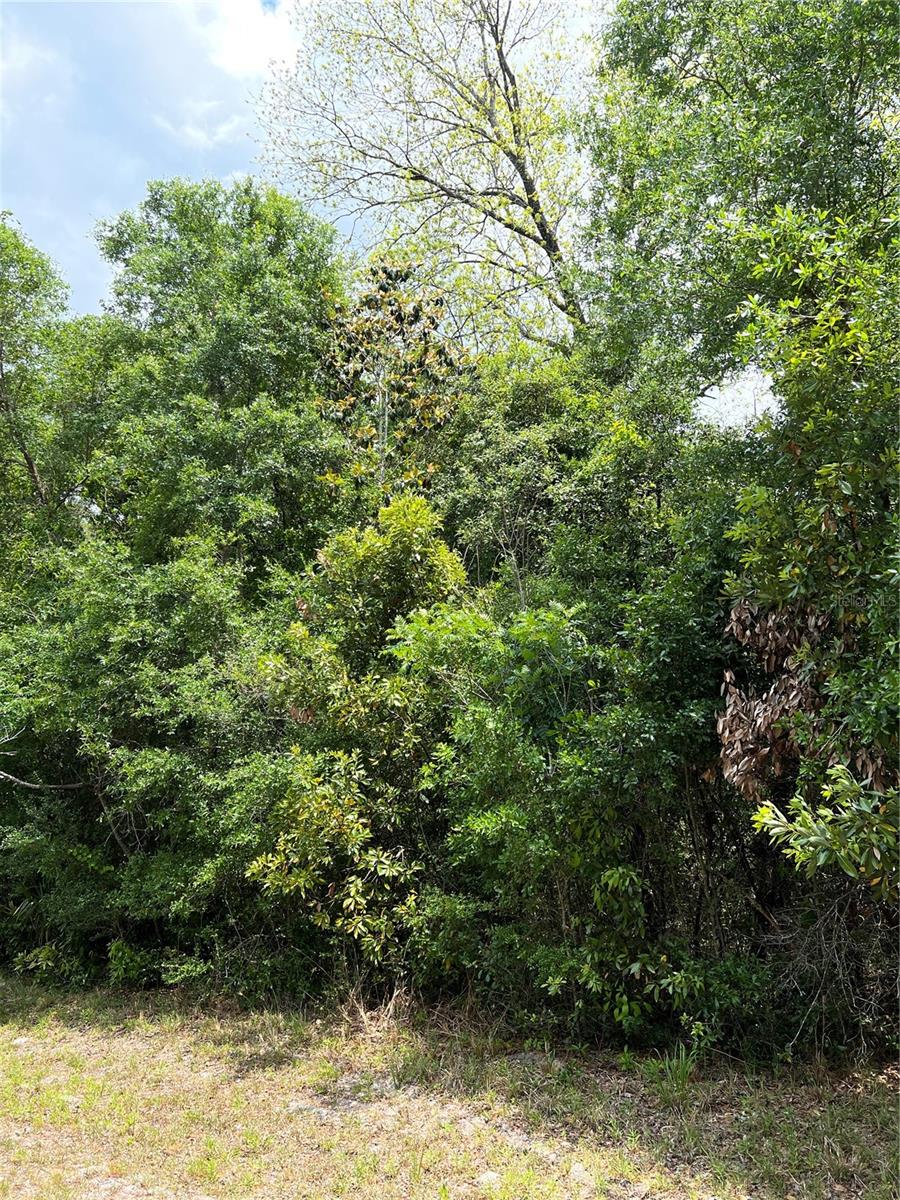 BUCK BAY PH 1 - Land