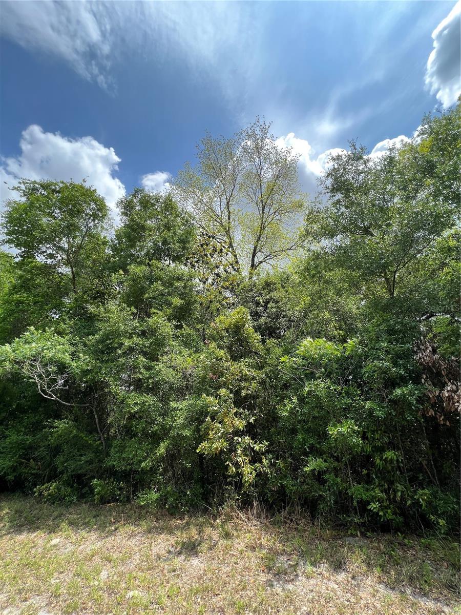 BUCK BAY PH 1 - Land