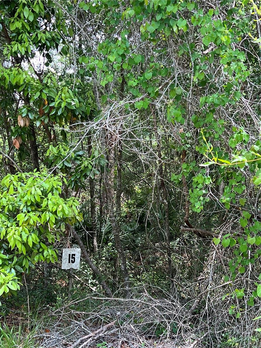 BUCK BAY PH 1 - Land