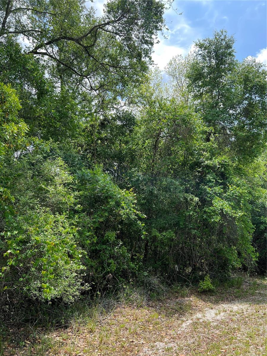 BUCK BAY PH 1 - Land