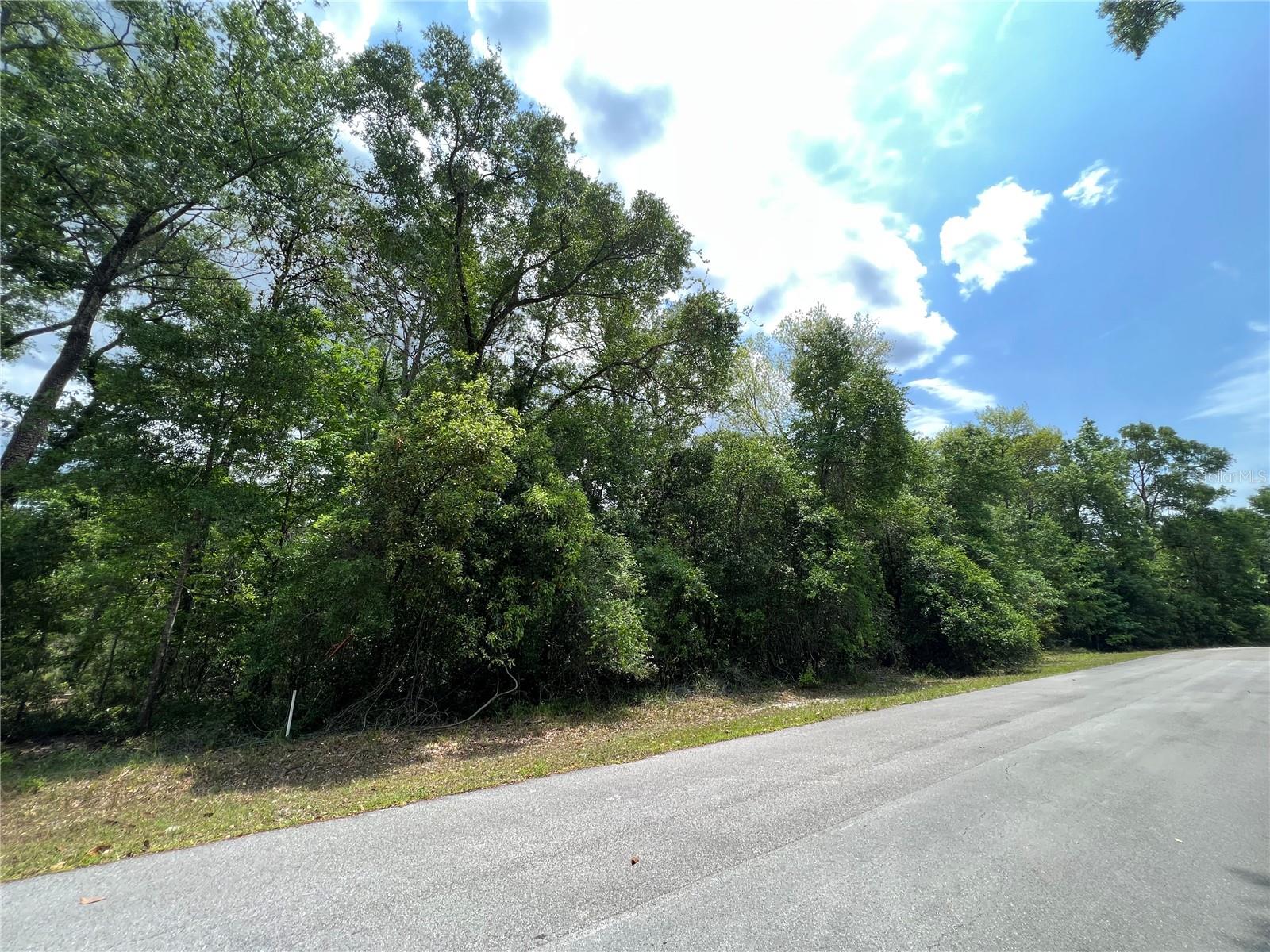 BUCK BAY PH 1 - Land