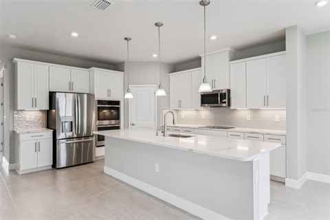 Tiny photo for 3009 Robles Road, Clermont, FL 34711 (MLS # O6352144)