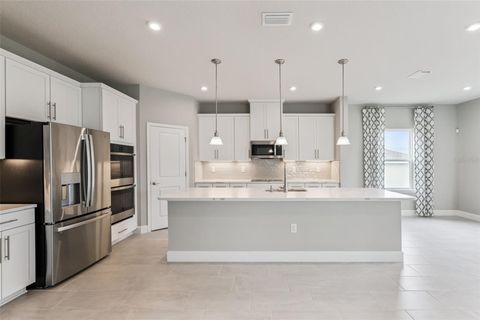 Tiny photo for 3009 Robles Road, Clermont, FL 34711 (MLS # O6352144)