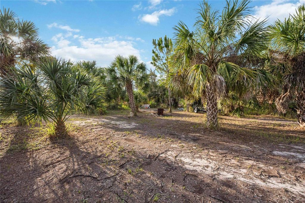 Photo of 2175 Fernwood Street, Port Charlotte, FL 33948 (MLS # A4685622)