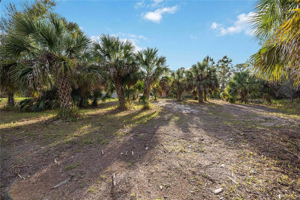 Photo of 2175 Fernwood Street, Port Charlotte, FL 33948 (MLS # A4685622)