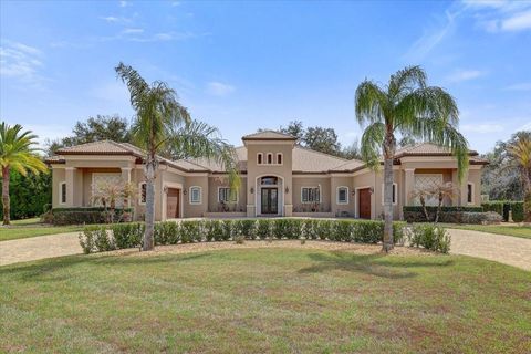 Photo of 2620 Tylers River Run, Lutz, FL 33559 (MLS # TB8484408)