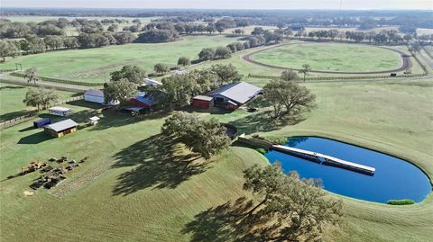 Tiny photo for 18800 SE 47th Place, Morriston, FL 32668 (MLS # OM712721)