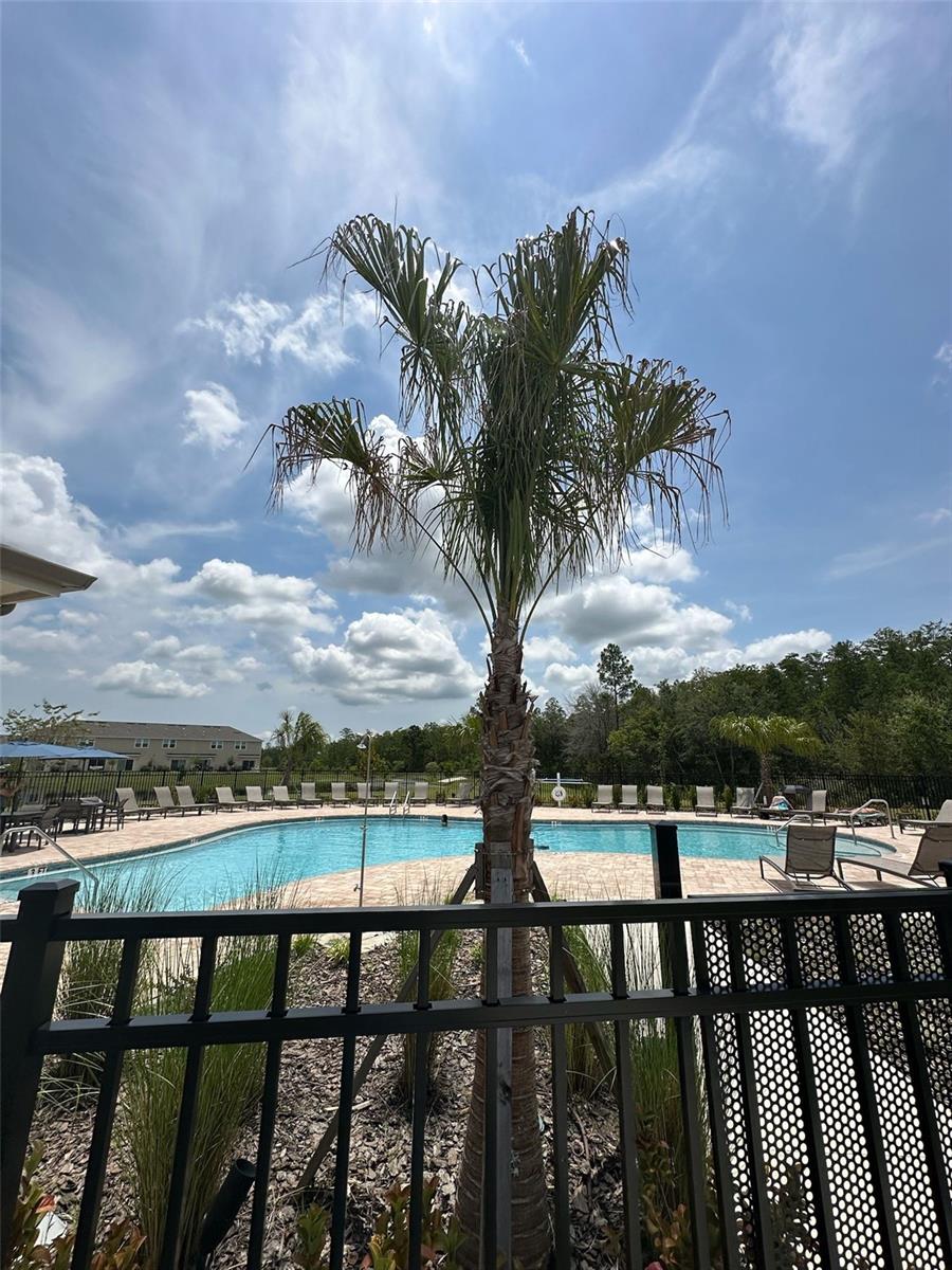 WESTVIEW POD A PH 1B & 2 - Residential Lease