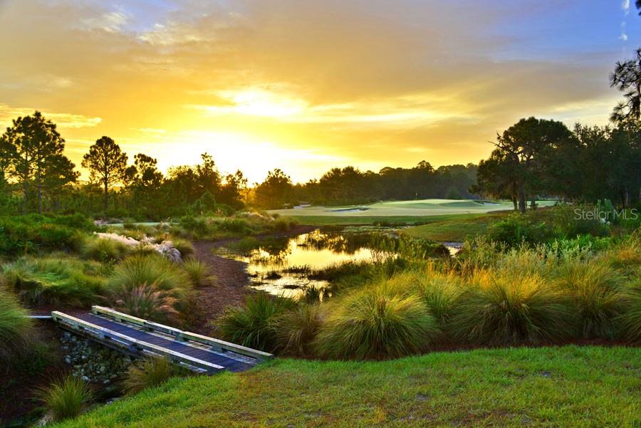 CONCESSION PH II BLK B & PH III - Residential