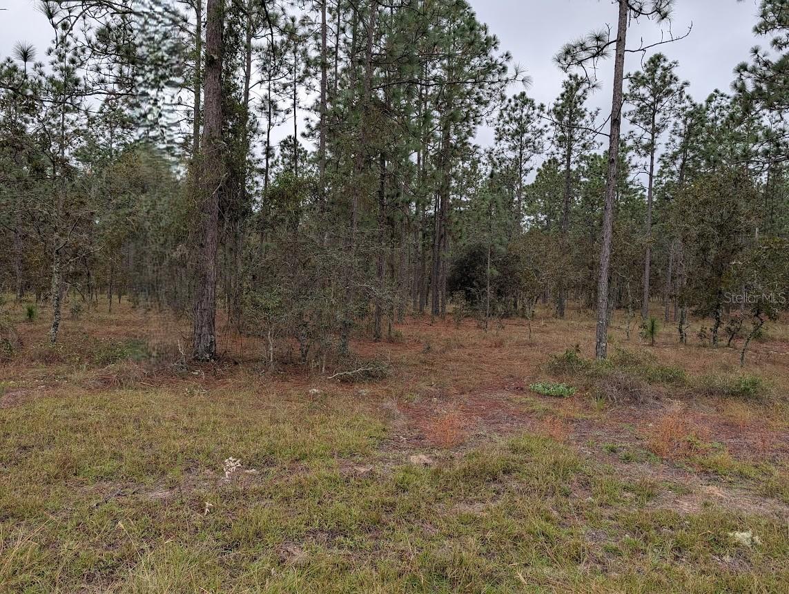One acre lot in the northern part of Rainbow Lakes, no HOA, access to two lakes. Play ground, club house, after you build your dream home you can bring your boats and RV's , and build a barn or detached garage.