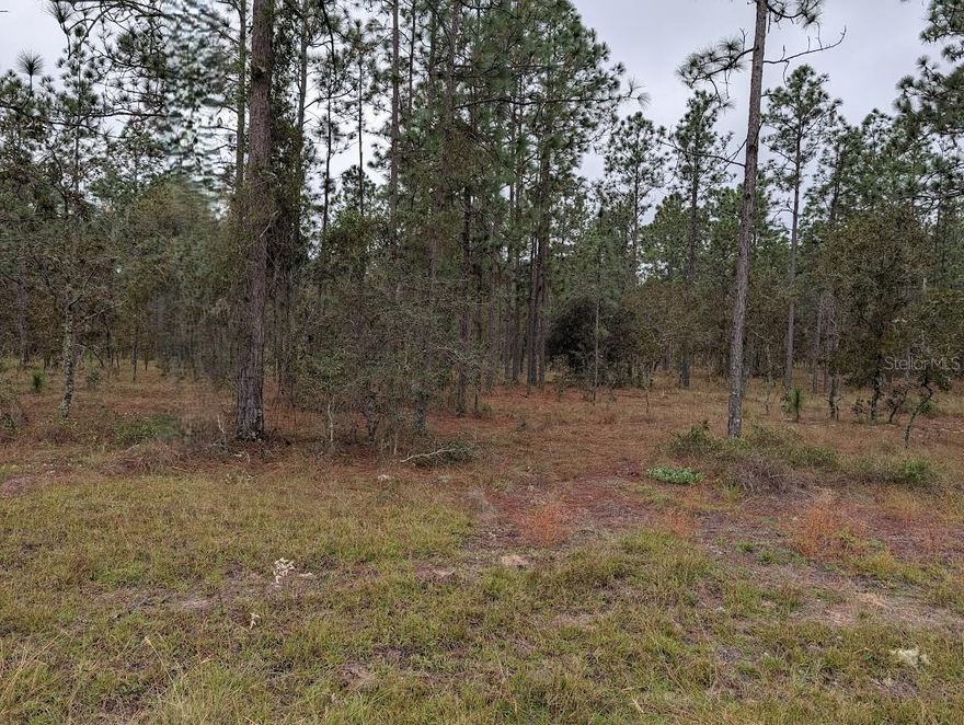 One acre lot in the northern part of Rainbow Lakes, no HOA, access to two lakes. Play ground, club house, after you build your dream home you can bring your boats and RV's , and build a barn or detached garage.