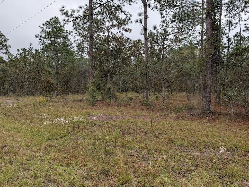 Photo of 13 NW Geranium Avenue, Dunnellon, FL 34431 (MLS # OM712707)