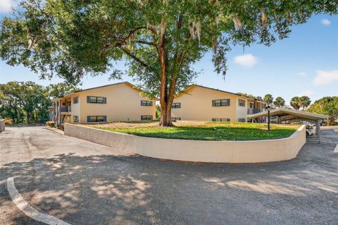 110 N TREMAIN STREET 105 MOUNT DORA FL 32757