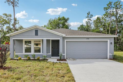 Photo of 11296 Elgin Boulevard, Spring Hill, FL 34608 (MLS # C7513485)