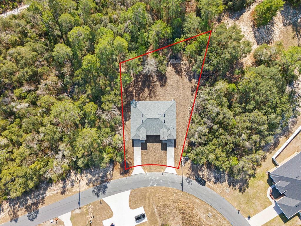 Photo of 16313 SW 29th Court Road, Ocala, FL 34473 (MLS # O6390247)