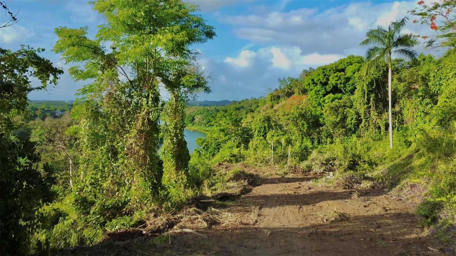BARRIO CACAO