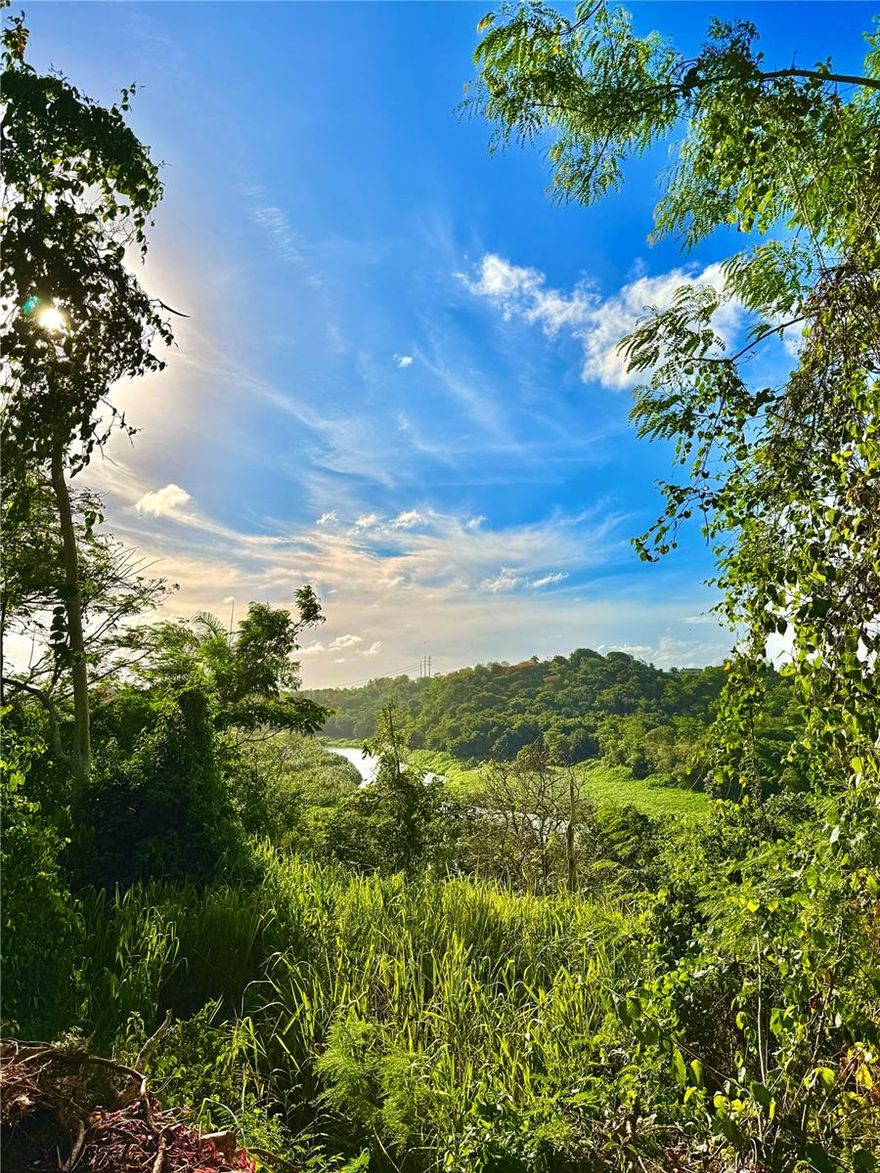 Land with Ecological Potential and Prime Location – Zoning CRC-3
Looking for a place where nature meets city convenience, close to the airport and beaches? This land is a fantastic opportunity to develop a project in harmony with the environment, without giving up accessibility. Located in the heart of Barrio Cacao in Carolina, it offers 1.21 cuerdas (4,773 m²) of elevated land with direct views of the river, providing cool breezes, privacy, and a unique natural setting.

Zoning: CRC-3 – Watershed Conservation
This zoning allows for various uses that are compatible with environmental protection, including:

*Single or two-family homes

*Low-density eco-friendly developments

*Agrotourism or ecotourism projects

*Agricultural activities with proper management practices

*Bed & Breakfasts and tiny homes

*Passive recreational uses that align with conservation goals

Added Value:
The property already includes a constructed foundation (zapata) and a masonry well, as shown in the photos—offering a head start for your future development.

Prime Location:
Just minutes from Route 66 and Carr. #3, the international airport, urban centers, and beaches—yet surrounded by greenery and peace.

***Adjacent lot also available.***
There’s an opportunity to acquire both lots, increasing development potential. Special price available if both are purchased.
