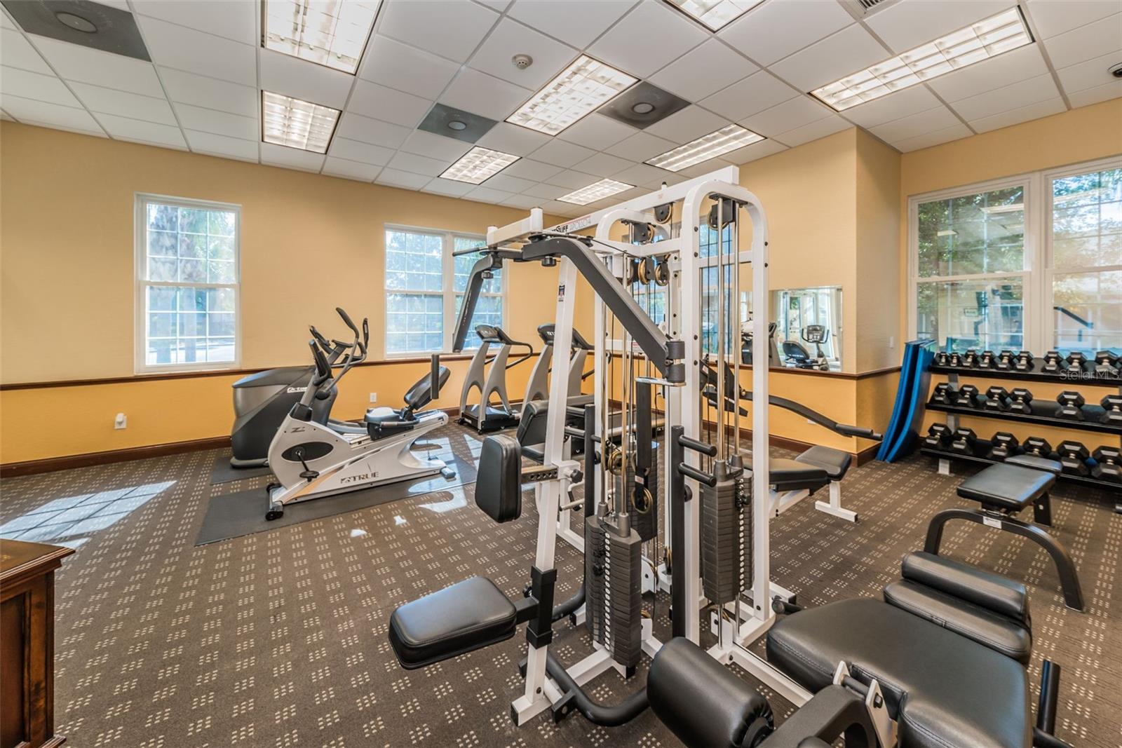 WATERFORD AT PALM HARBOR LUXURY CONDO - Residential