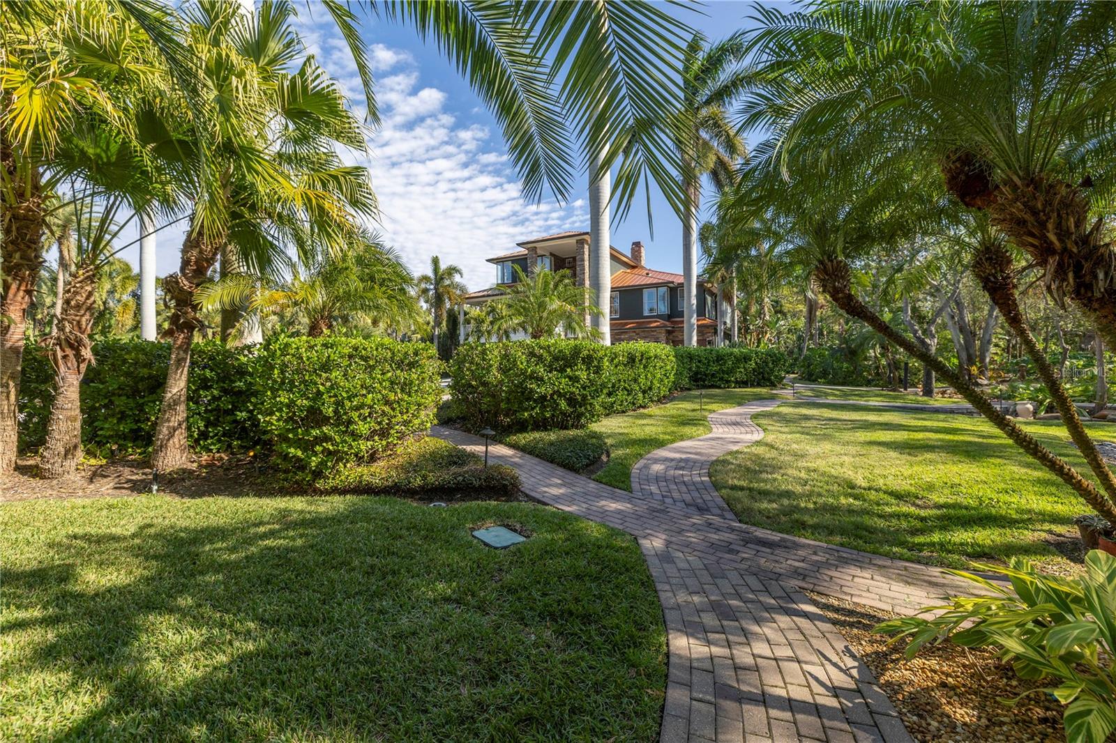 IBIS COVE - Residential