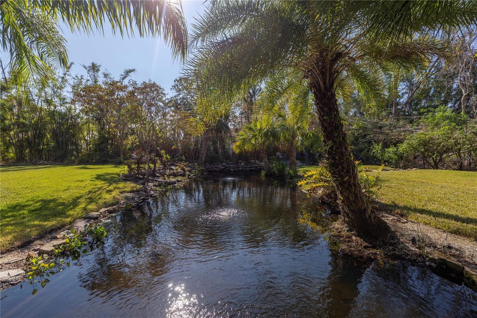 IBIS COVE - Residential