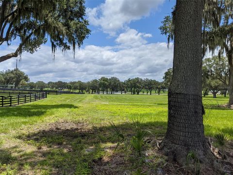 Photo of 25 SE 159th Lane, Summerfield, FL 34491 (MLS # OM725181)