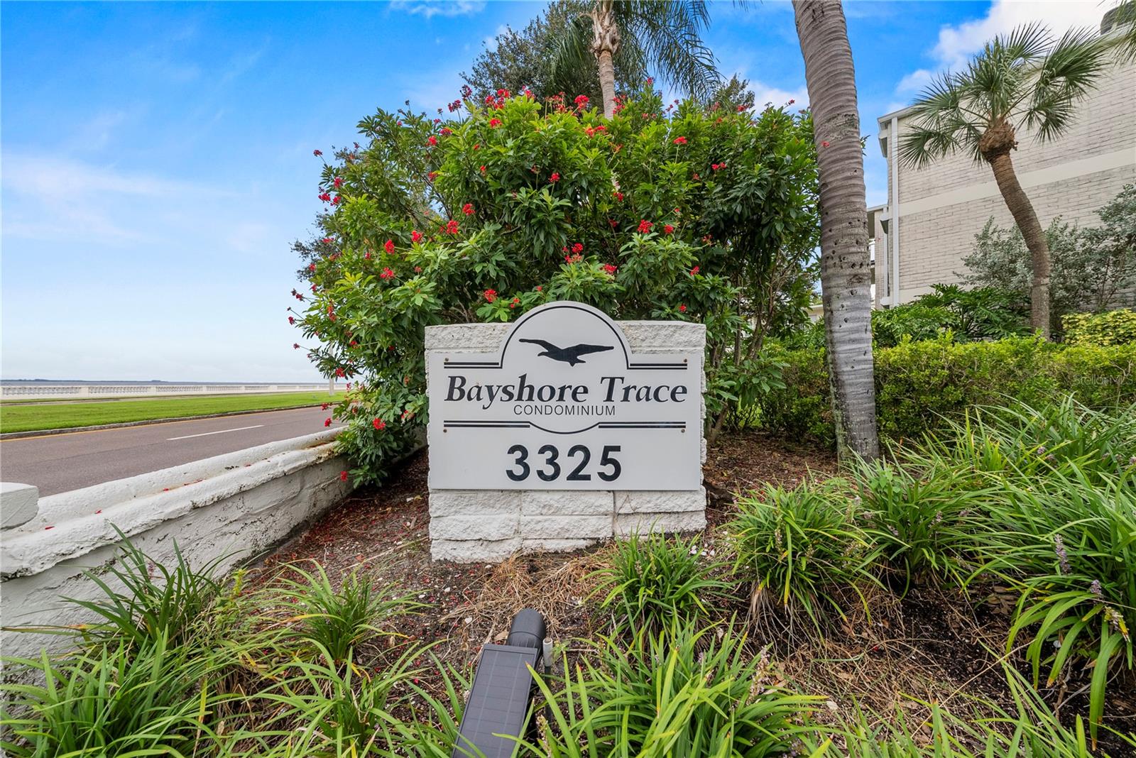 One or more photo(s) has been virtually staged. Charming beautifully maintained 2-bedroom, 2-bath located right on iconic Bayshore Boulevard, home to the longest contiguous sidewalk in North America. Perfectly situated in the heart of South Tampa, this first-floor residence is move-in ready and offers both comfort and convenience.
Inside, you’ll see the brand new Hurricane windows in both bedrooms and a rare in-unit washer and dryer—a unique feature in this community. The open layout provides easy living and entertaining, while both bedrooms are spacious and filled with natural light.
Step outside and enjoy the lush courtyard and sparkling community pool, perfect for relaxing or gathering with friends. From your doorstep, you can stroll along Bayshore, take in waterfront views, and walk to nearby restaurants, shops, and South Tampa’s favorite spots.
With its unbeatable location, desirable amenities, this condo is one of the best values on Bayshore Boulevard.