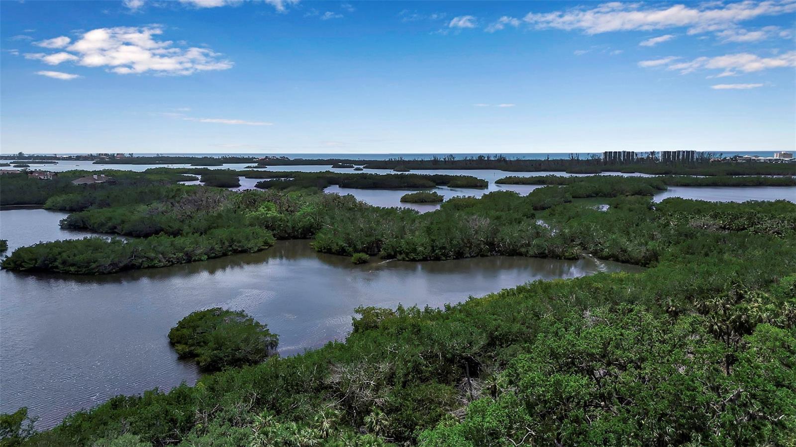 MERIDIAN AT THE OAKS PRESERVE - Residential