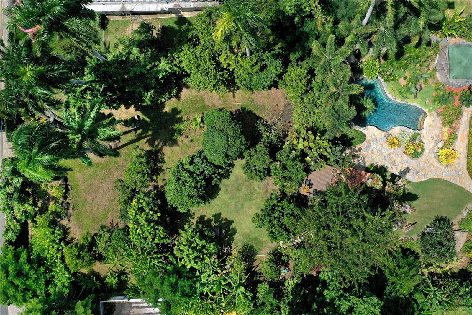 GHN- VILLA CAPARRA - Residential