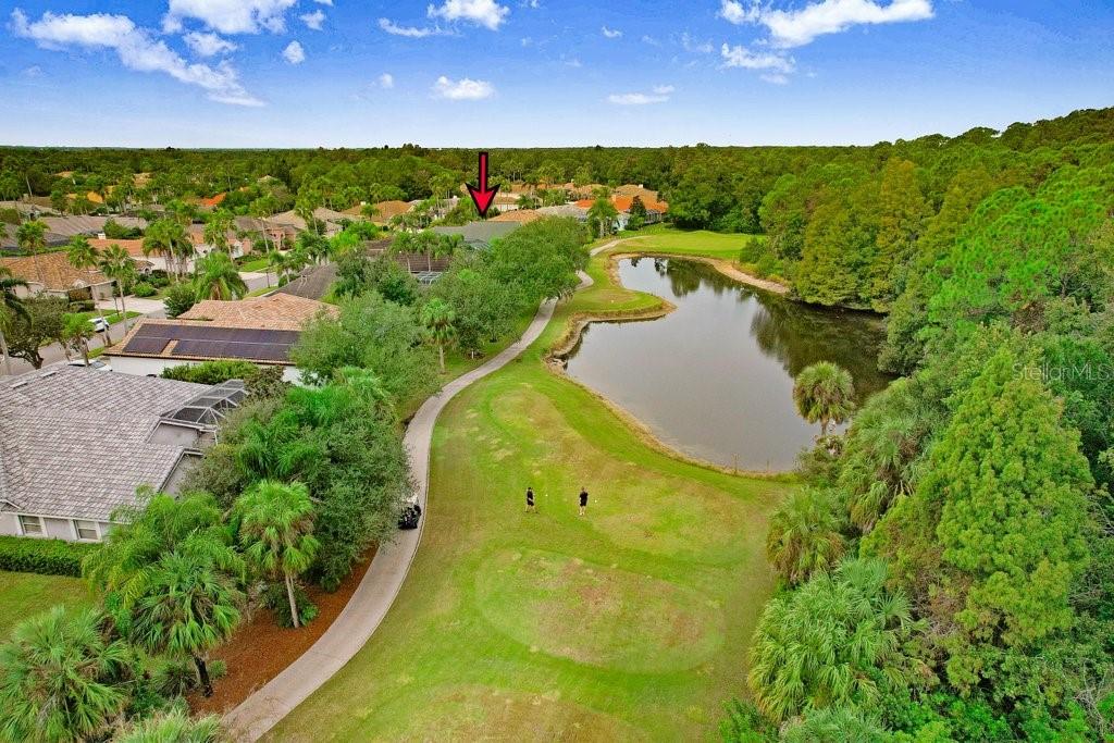 WESTCHASE - Residential