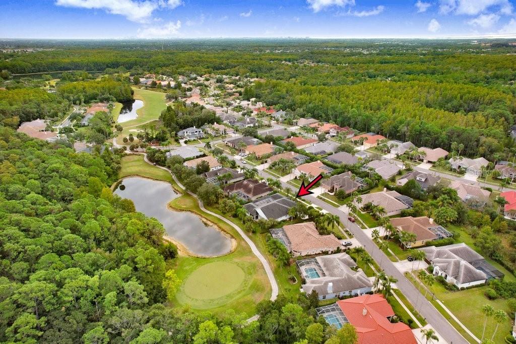 WESTCHASE - Residential