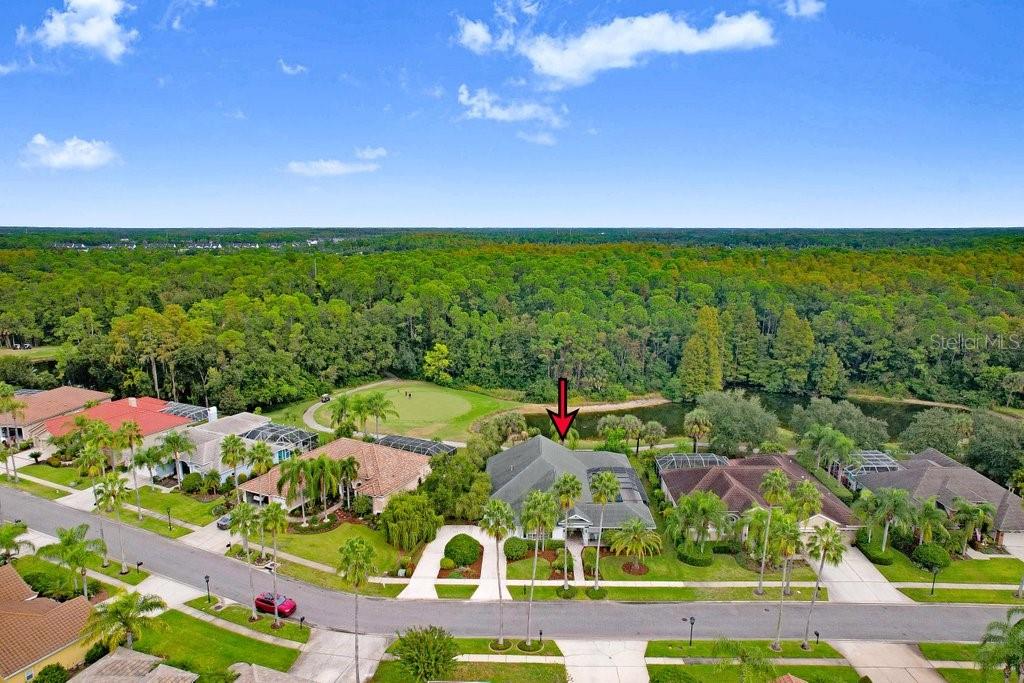 WESTCHASE - Residential