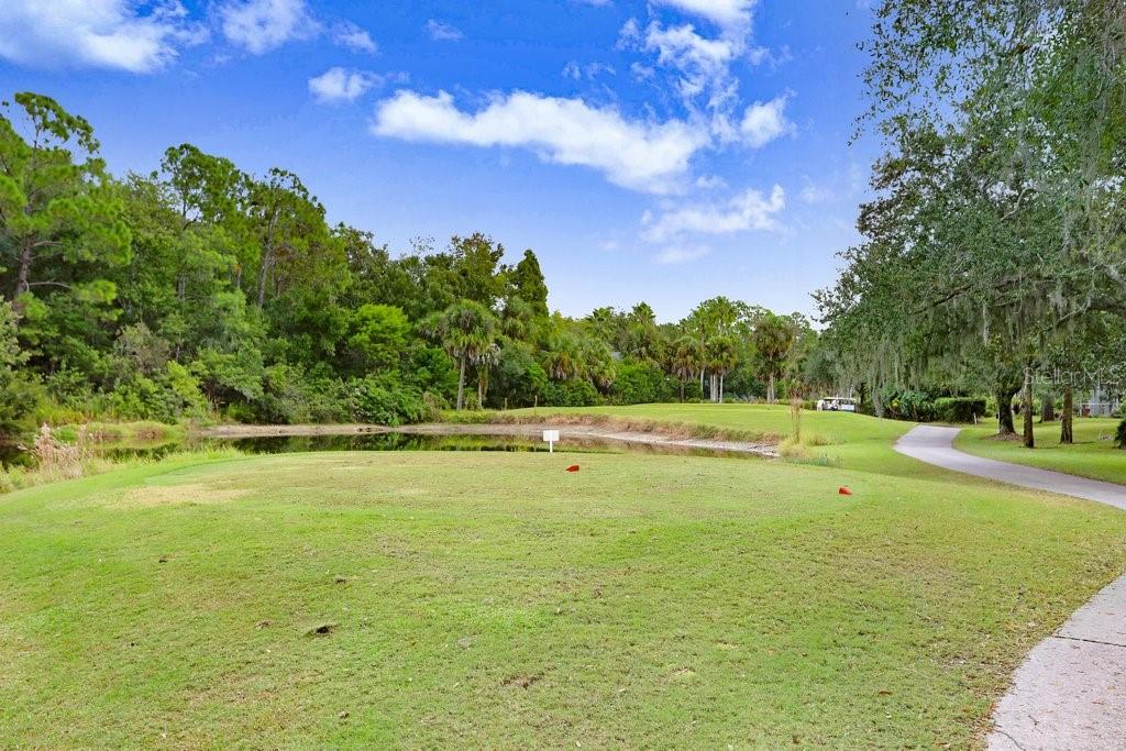 WESTCHASE - Residential