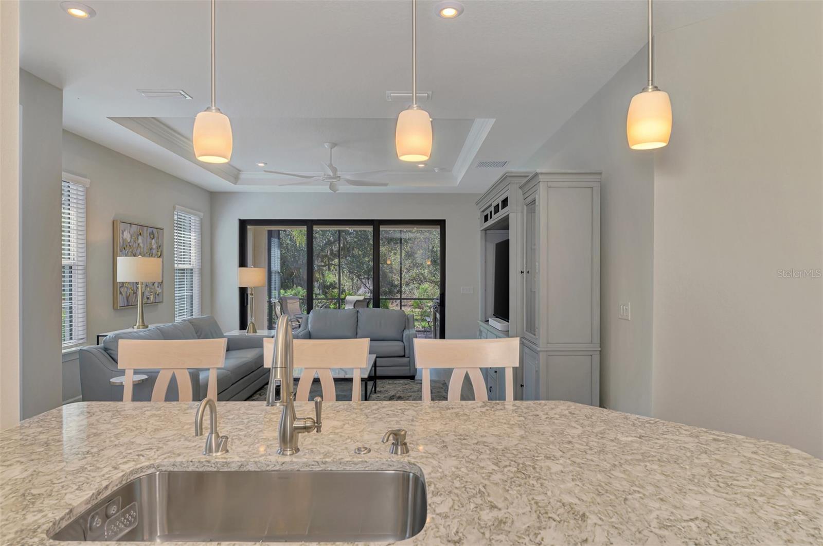 ESPLANADE ON PALMER RANCH - Residential