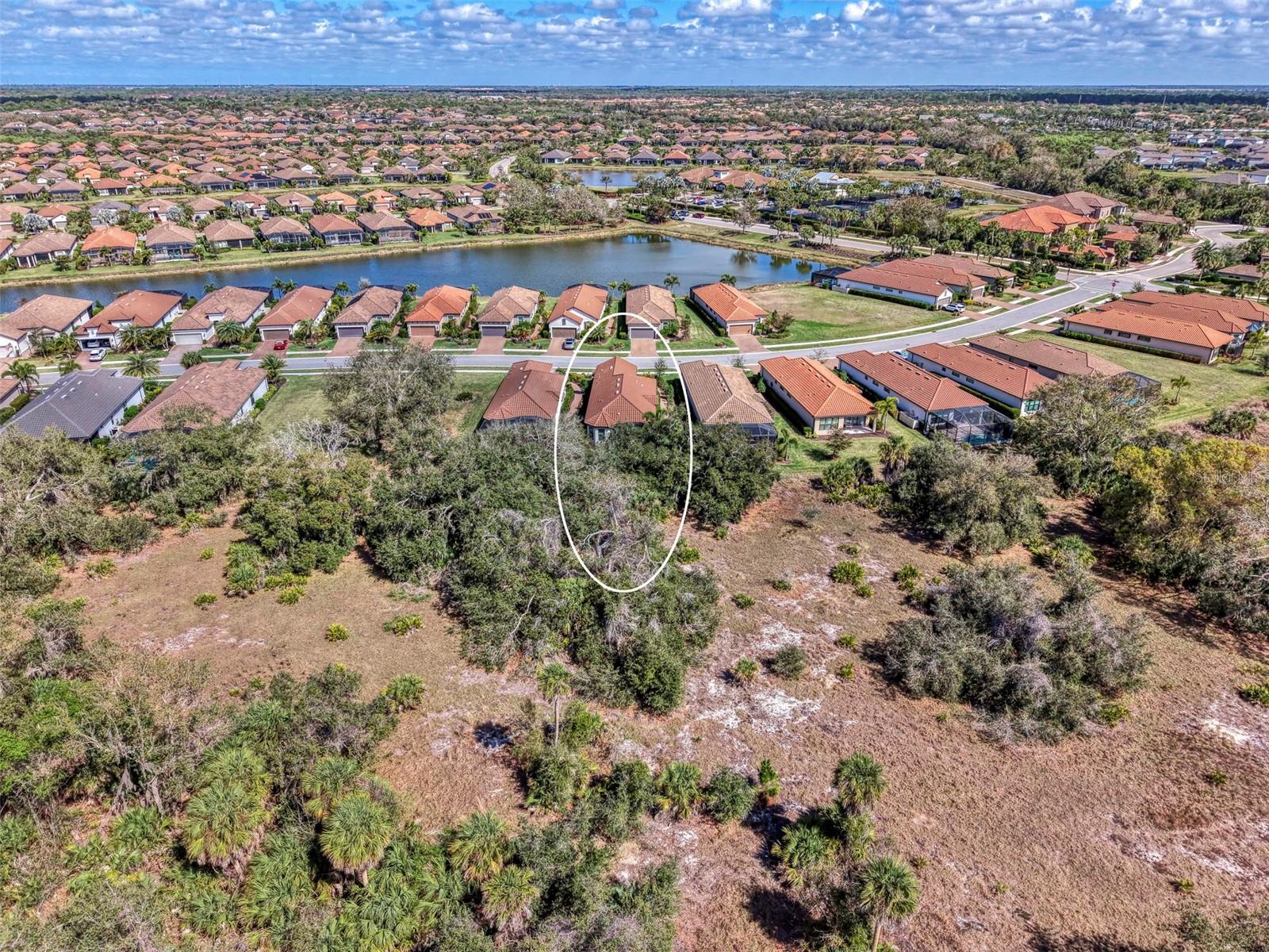 ESPLANADE ON PALMER RANCH - Residential