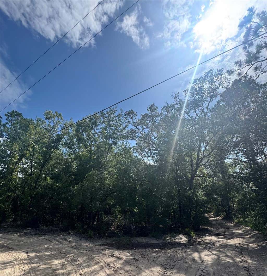 Photo of Tbd SW 65th Avenue, Dunnellon, FL 34432 (MLS # OM729834)