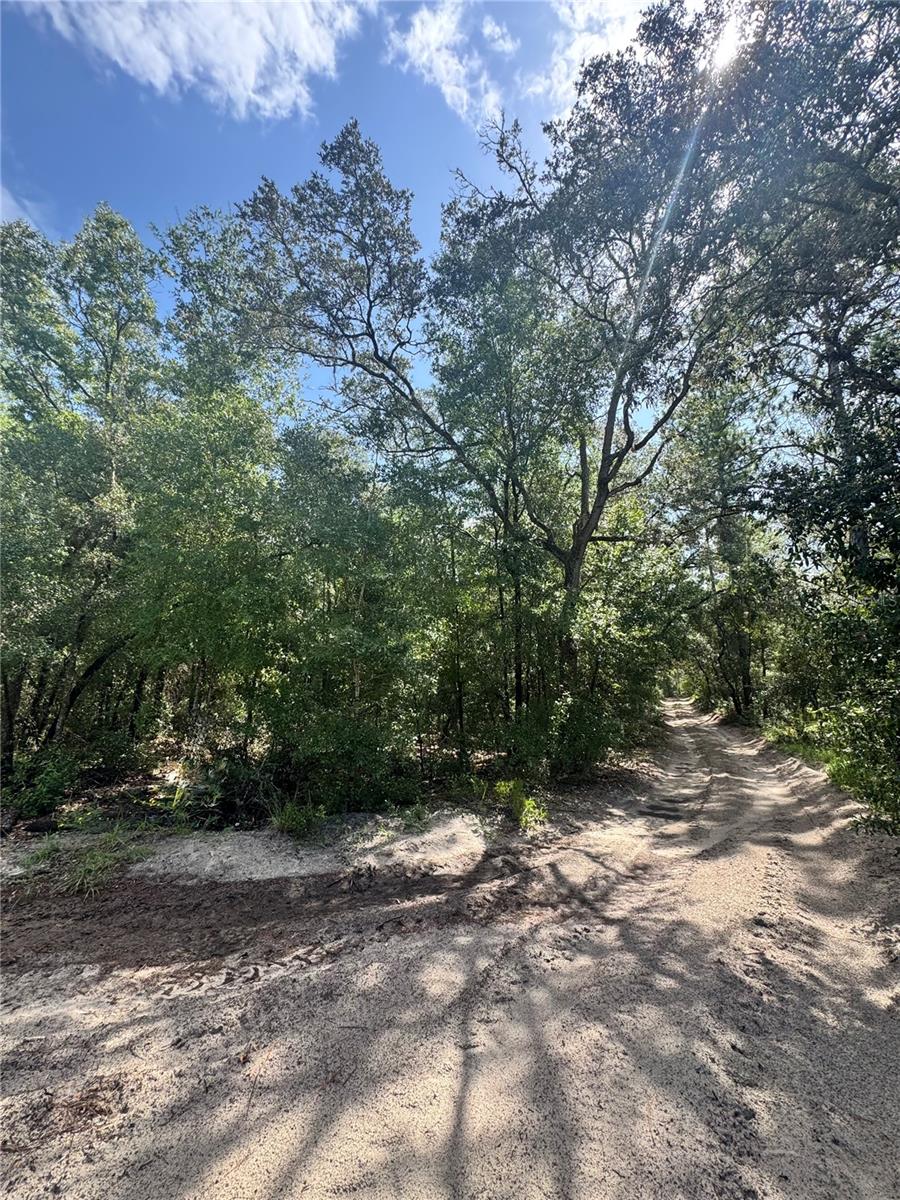 TBD SW 65TH AVENUE