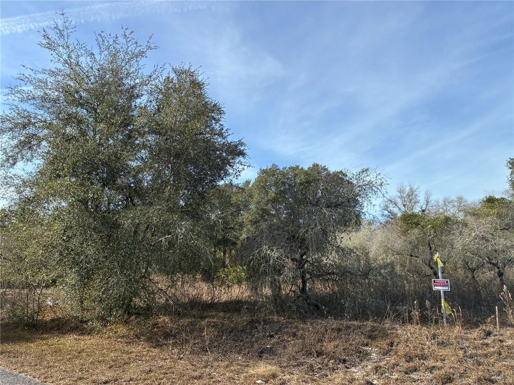 Photo of SE 126th Terrace, Dunnellon, FL 34431 (MLS # OM716370)